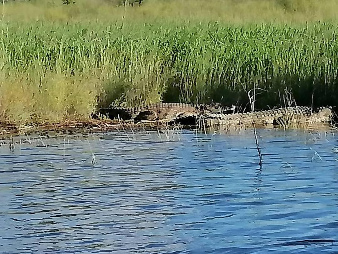 Camp Hogo Kavango Rundu Exterior photo