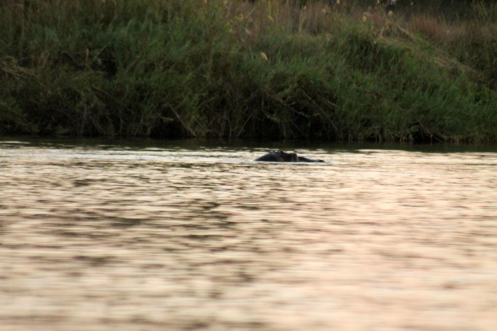 Camp Hogo Kavango Rundu Exterior photo