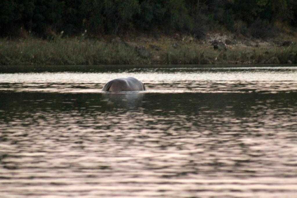 Camp Hogo Kavango Rundu Exterior photo